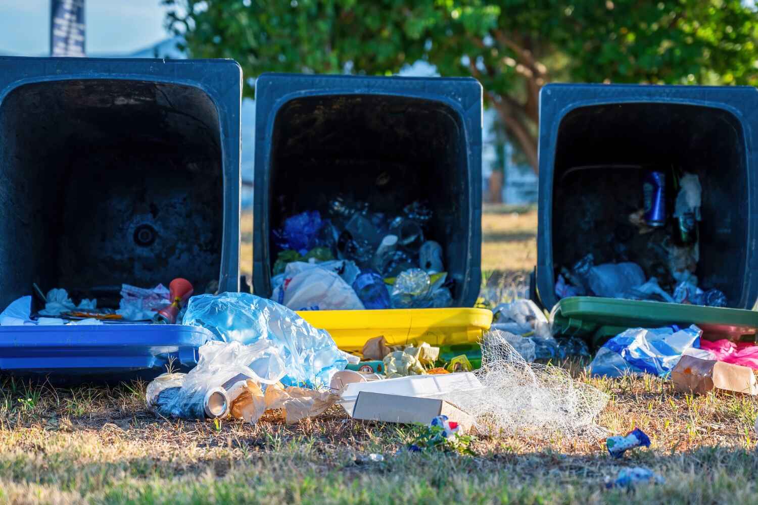 Parker, AZ Junk Removal Company